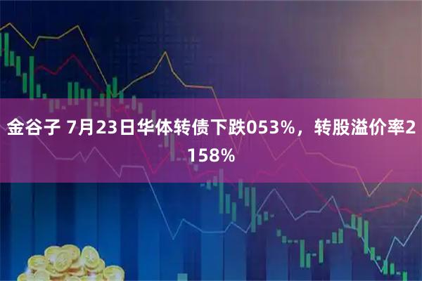 金谷子 7月23日华体转债下跌053%,转股溢价率2158%